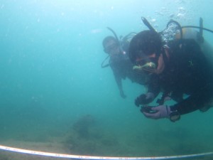 沖縄　ダイビング　アドヴァンス