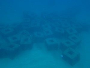 沖縄　ダイビング