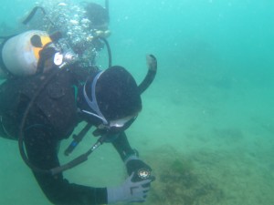 沖縄　ダイビング　アドヴァンス