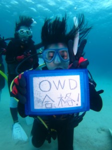 沖縄　ダイビング