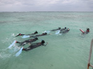 沖縄　ダイビング　ネイチャーワークス