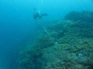 沖縄　ダイビング　ニライ会　リーフチェック