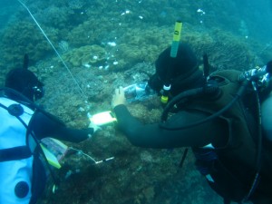 沖縄　ダイビング　ニライ会　リーフチェック