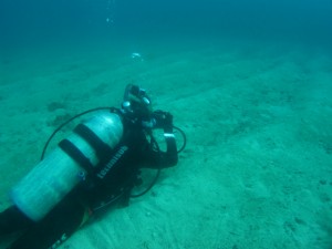 沖縄　ダイビング　近海