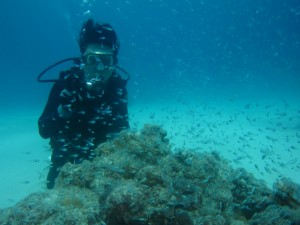沖縄　ダイビング　慶良間