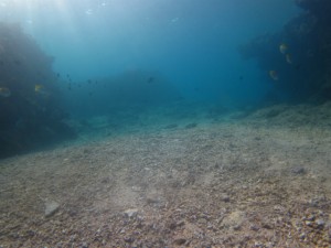 沖縄　ダイビング