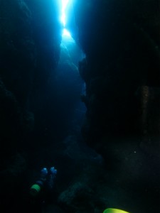 沖縄　ダイビング