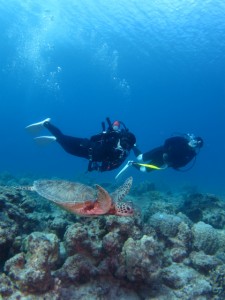 沖縄　ダイビング