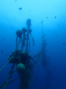 沖縄　ダイビング