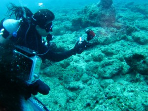 沖縄　ダイビング　カメラ