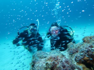 沖縄　ダイビング