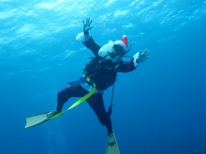 沖縄　ダイビング　慶良間　チービシ　クリスマス