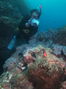 沖縄　ダイビング