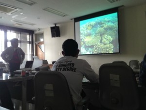 沖縄　ダイビング