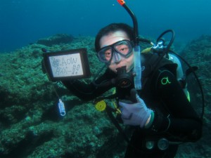 沖縄　ダイビング