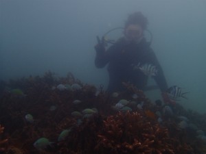 沖縄　ダイビング　ビーチ体験　那覇シーサイドパー