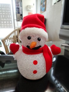 沖縄　ダイビング　クリスマス