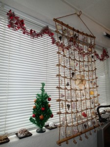 沖縄　ダイビング　クリスマス