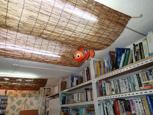 沖縄　ダイビング　クリスマス