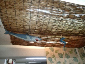 沖縄　ダイビング　クリスマス