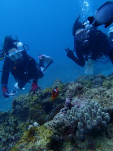 沖縄　ダイビング　イナンビシ