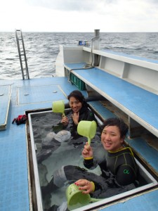 沖縄　ダイビング　イナンビシ