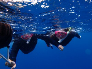 沖縄　ダイビング　慶良間　チービシ　クリスマス