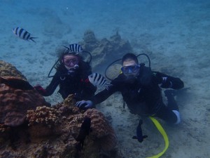 沖縄　ダイビング　崎本部　ゴリラチョップ