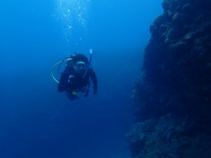 沖縄　ダイビング　ＰＡＤI　講習　オープンウォーター
