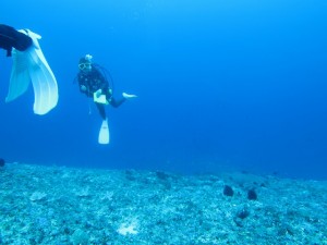 沖縄　ダイビング