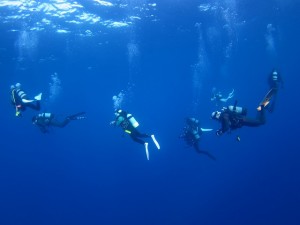 沖縄　ダイビング