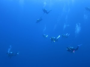 沖縄　ダイビング