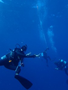 沖縄　ダイビング　ドリフト　保全　ウチザン