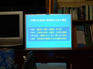 沖縄　ダイビング　自然　海塾