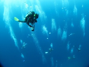 沖縄　ダイビング