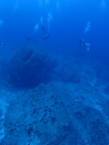 沖縄　ダイビング