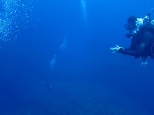 沖縄　ダイビング