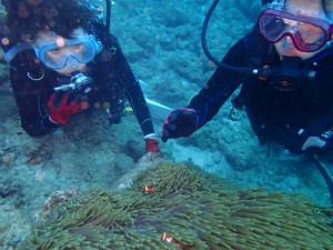 沖縄　ダイビング　近海　ボート　体験