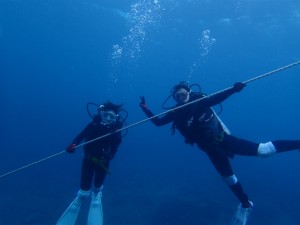 沖縄　ダイビング　近海　ボート　体験