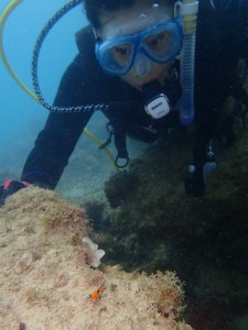 沖縄　ダイビング　オープンウォーターライセンス