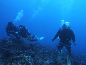 沖縄　ダイビング