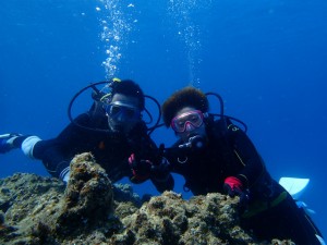 沖縄　ダイビング　慶良間　体験　ホエールウォッチング　クジラ