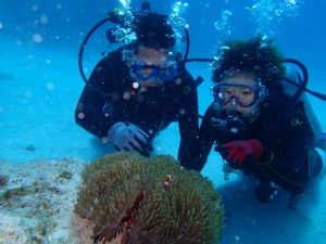 沖縄　ダイビング　慶良間　体験　ホエールウォッチング　クジラ