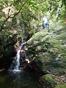 沖縄　ダイビング　ネイチャーワークス　自然　石川岳　トレッキング