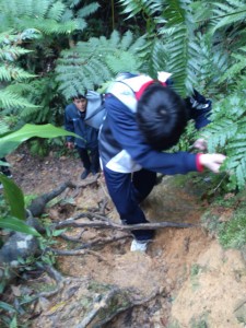 沖縄　ダイビング　ネイチャーワークス