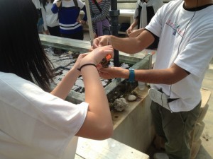 沖縄　サンゴ学習