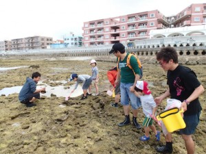 沖縄　ダイビング　サンゴ礁ウィーク　磯観察