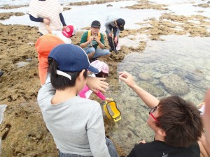 沖縄　ダイビング　サンゴ礁ウィーク　磯観察