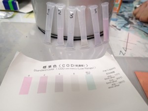 沖縄　ダイビング　サンゴ礁ウィーク　磯観察