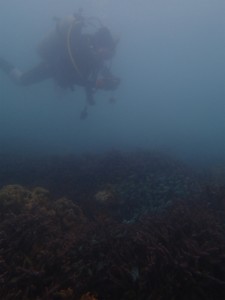 沖縄　ダイビング　アドヴァンスドオープンウォーター　講習